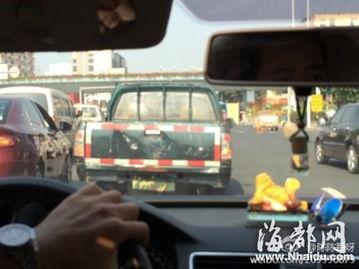 潮州挡车牌爆料事件视频,真相与争议交织