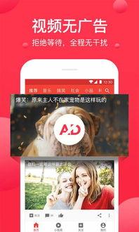 西瓜视频影视爆料王,影视行业最新动态揭秘 第1张 西瓜视频影视爆料王,影视行业最新动态揭秘 第1张